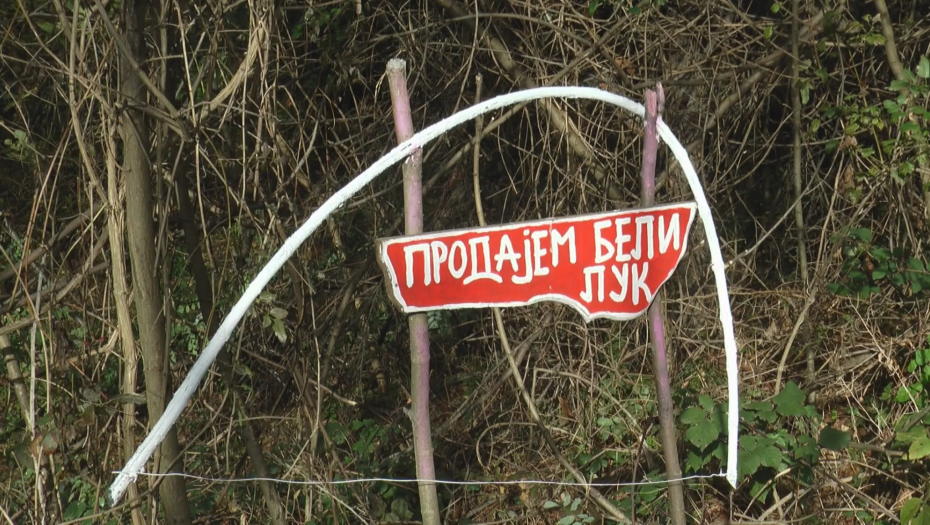 Putokazi na planini Rudnik