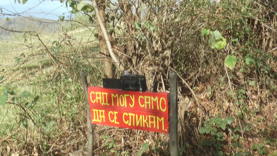 Putokazi na planini Rudnik