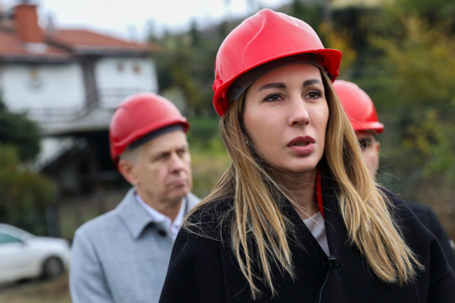 Dubravka Đedović Handanović