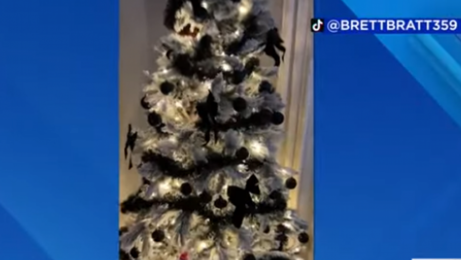 životinja se sakrila u jelci