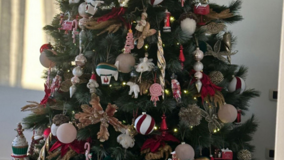 Dom Sofije i Luke uoči praznika