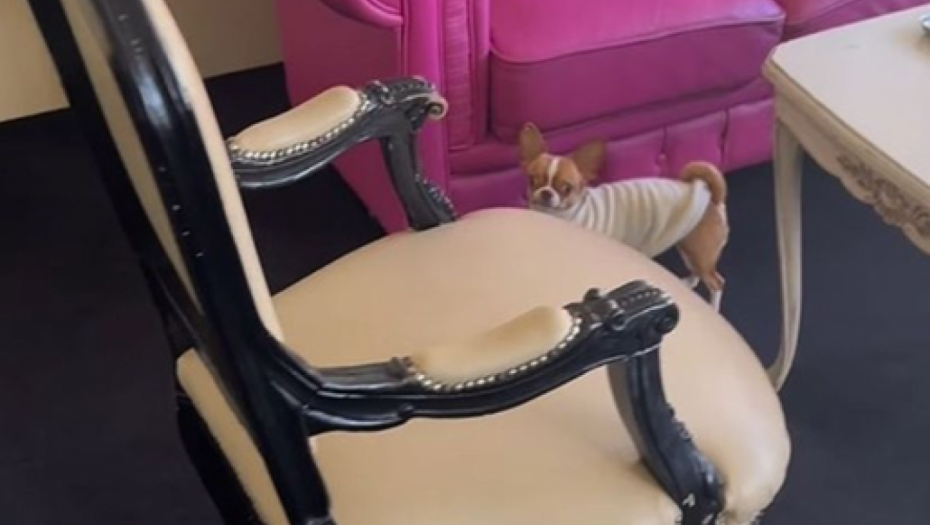 Kancelarija Milice Mitrović