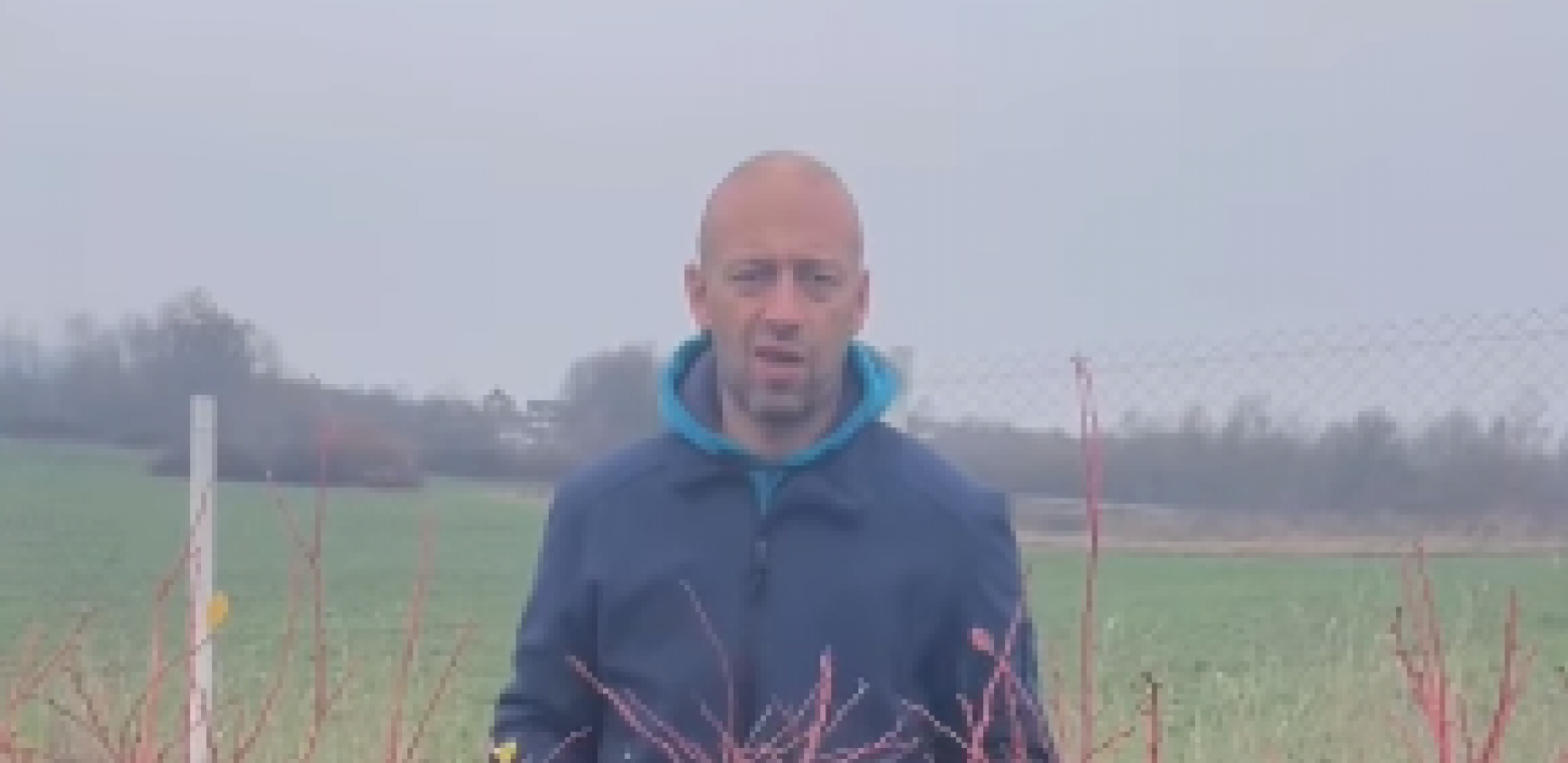 Radoslav Milojičić Kena