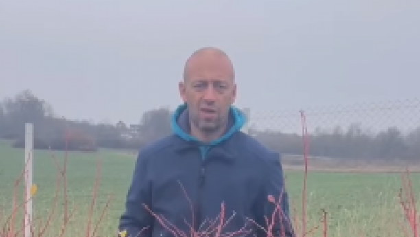 Radoslav Milojičić Kena