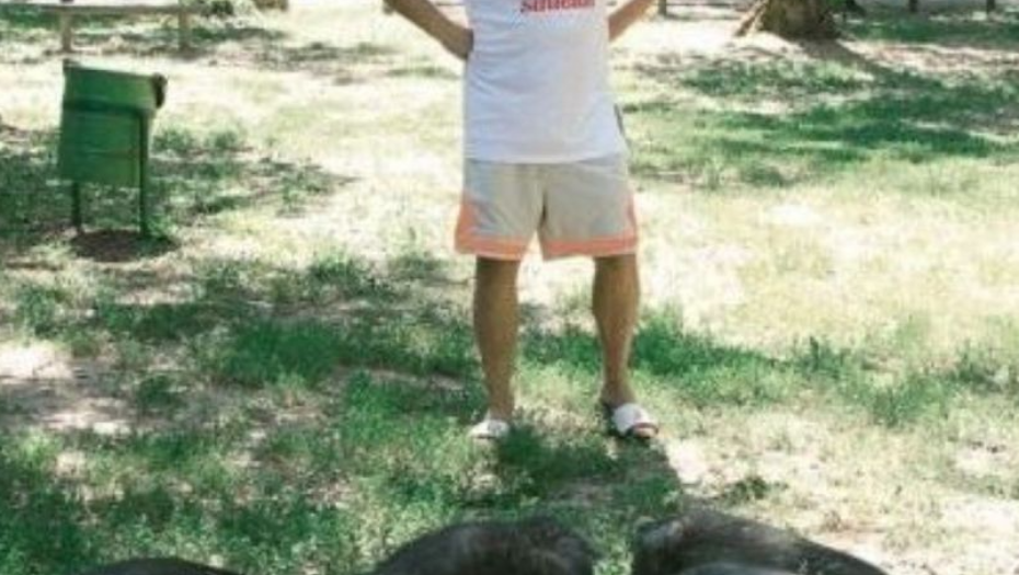 Imanje Mikija Đuričića