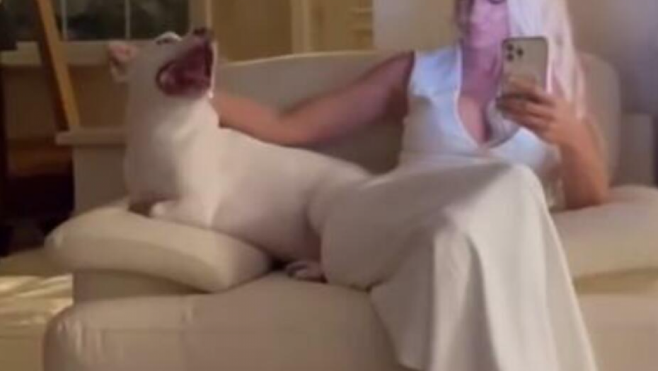 Jelena Karleuša sa ljubimcem