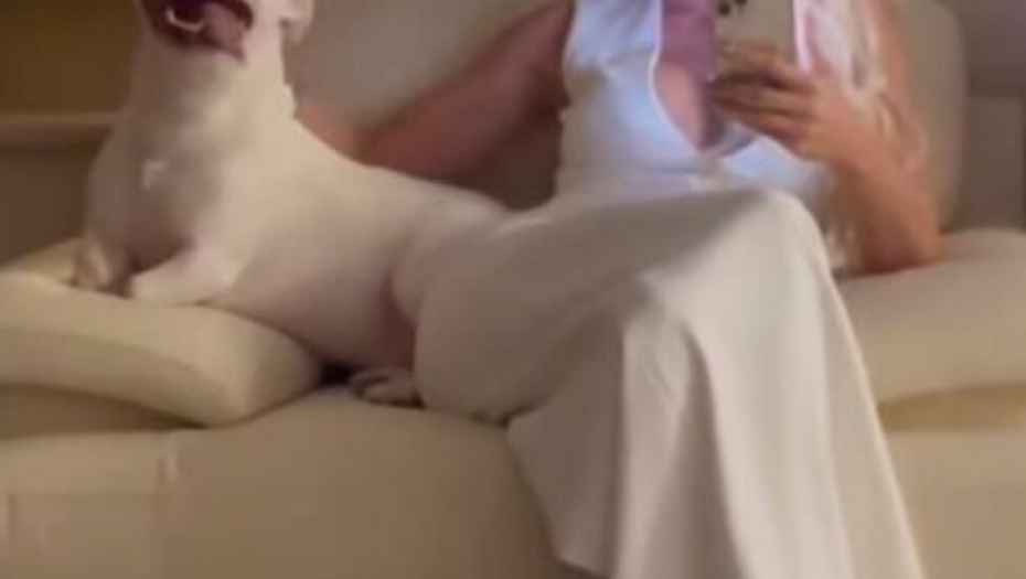 Jelena Karleuša sa ljubimcem