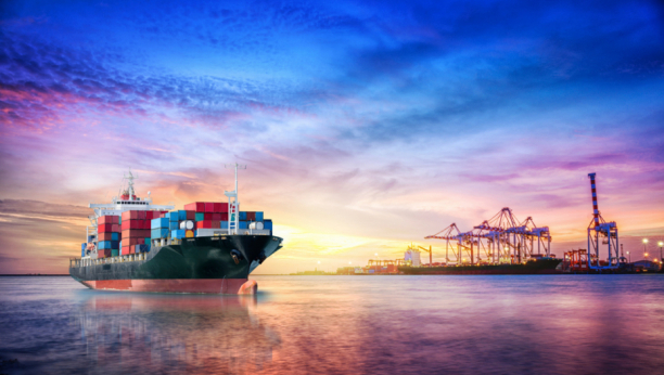 Brodarske kompanije zaustavile izvoz