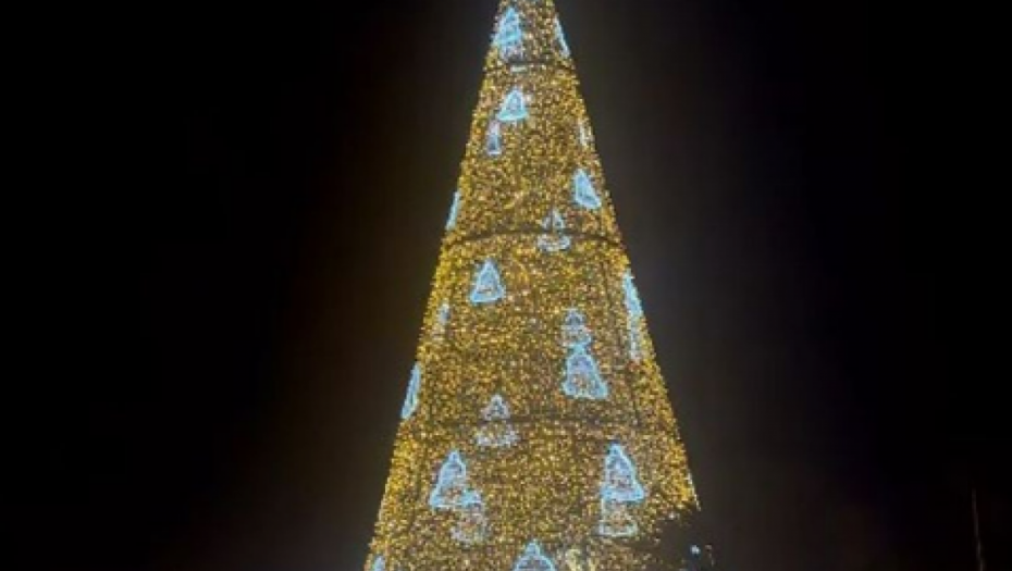 Anastasija Ražnatović