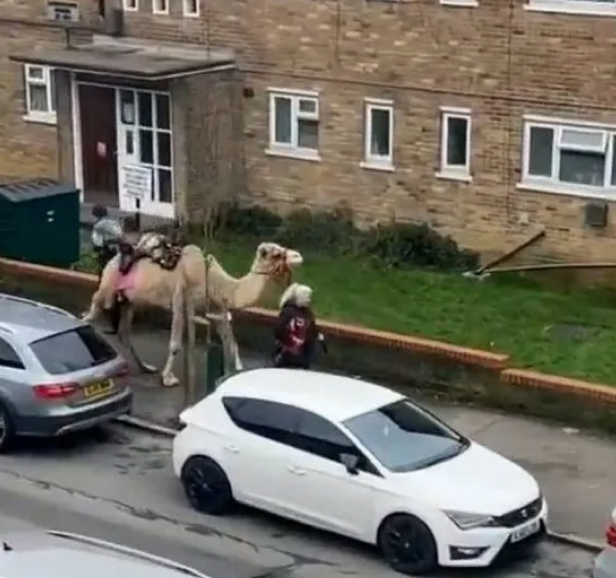 Kamila šeta Londonom