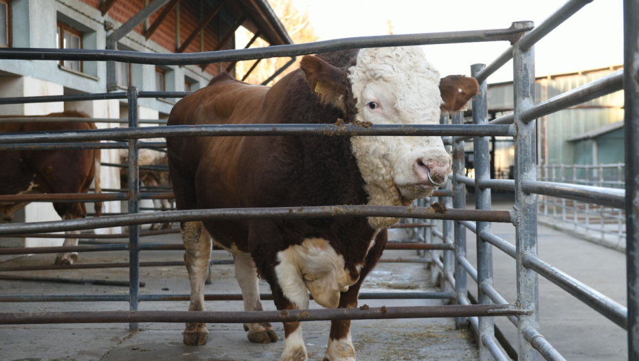 Ministarstvo poljoprivrede