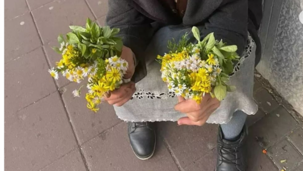 prodaja cveća