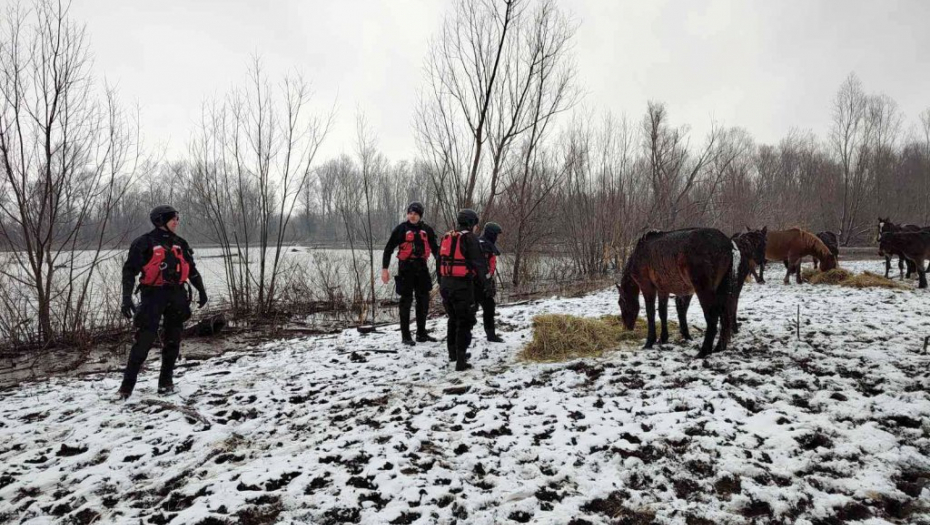Zarobljene životinje u Krčedinskoj Adi