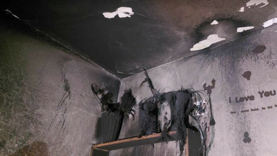 Porodica Stanojević