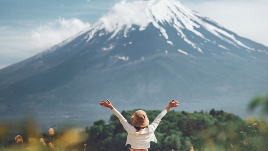 Naplaćivanje ulaznica