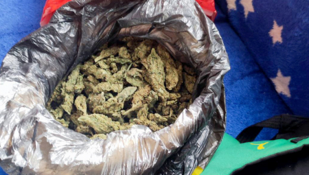 Zrenjaninac D. N. pravosnažno je osuđen na trogodišnju zatvorsku kaznu zbog krivičnog dela neovlašćena proizvodnja i stavljanje u promet opojnih droga.