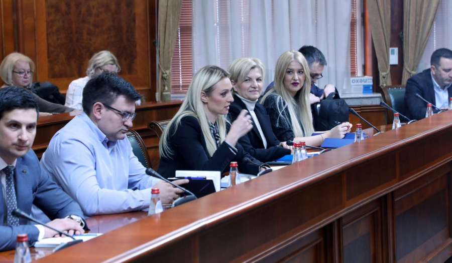 vlada srbije jelena tanasković