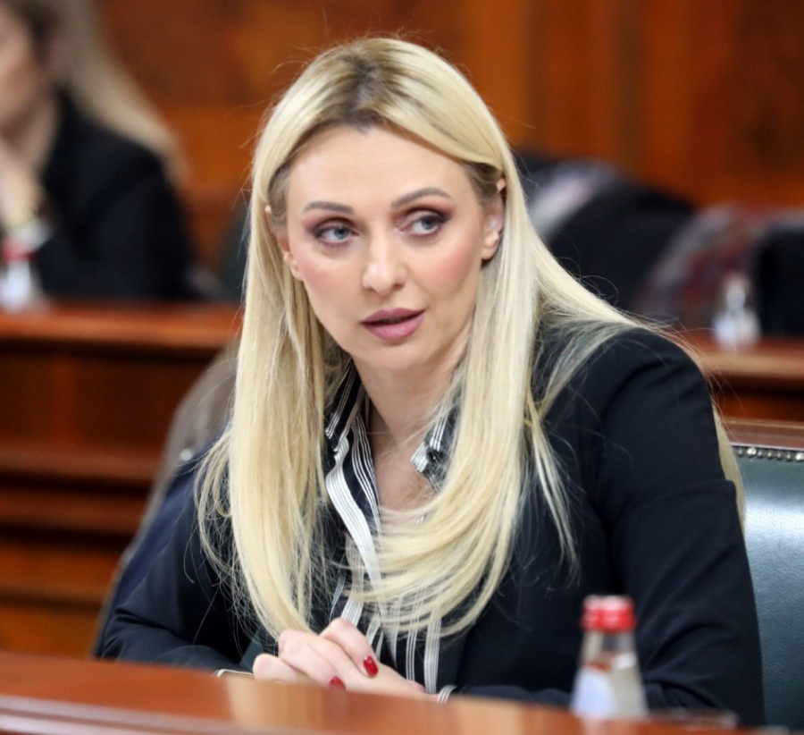 vlada srbije jelena tanasković
