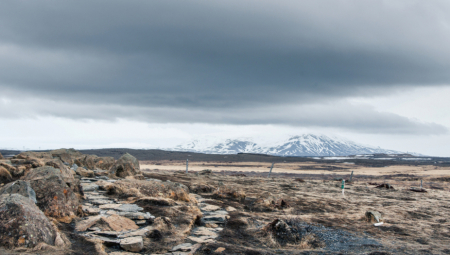 Zbog brzih promena, mnoge vrste neće imati vremena da se prilagode, što bi moglo dovesti do šesto masovnog izumiranja