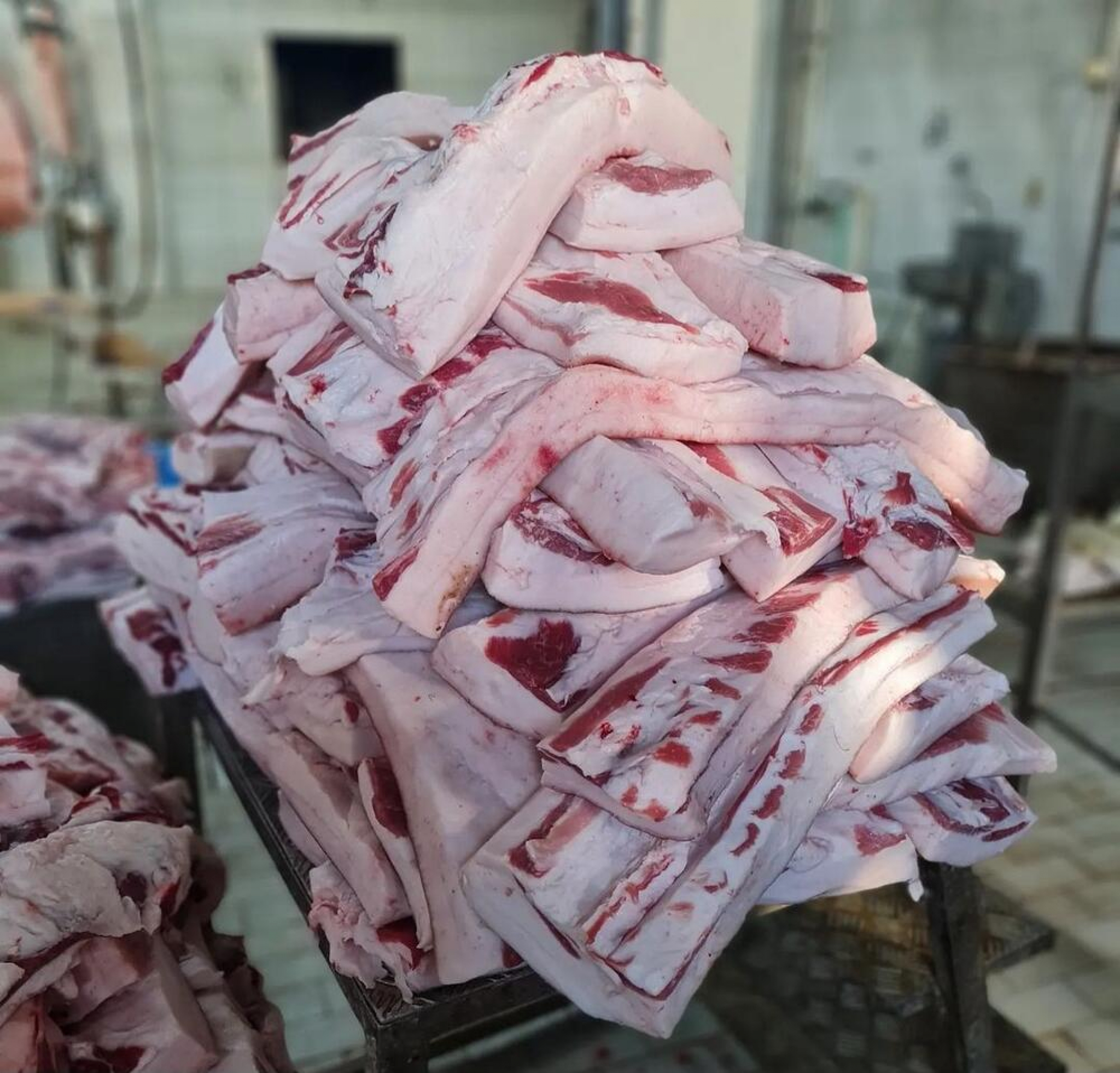 Marko Jevtić Velika Plana