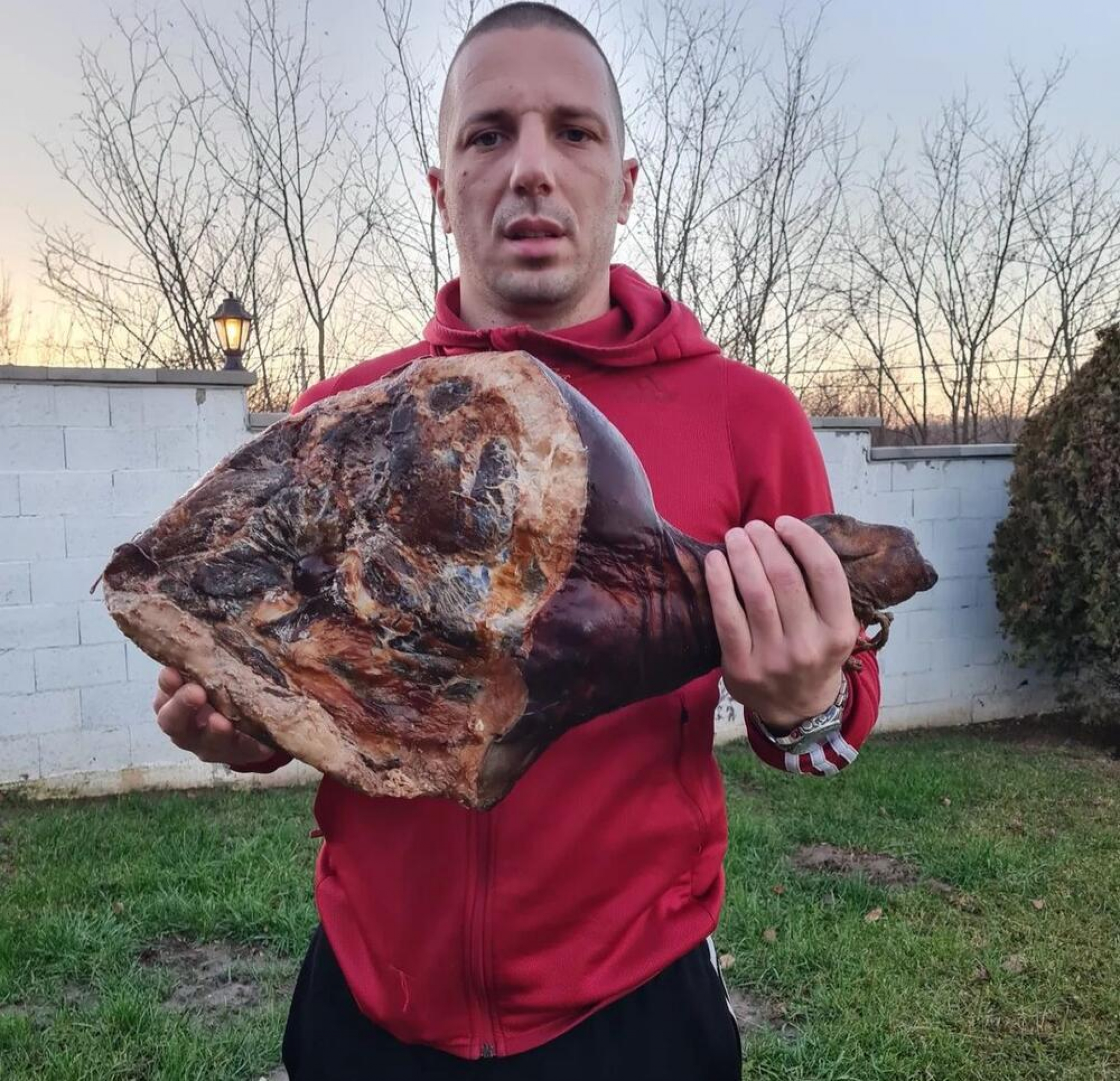 Marko Jevtić Velika Plana