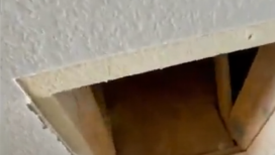 tiktok.com/__daniel.tx