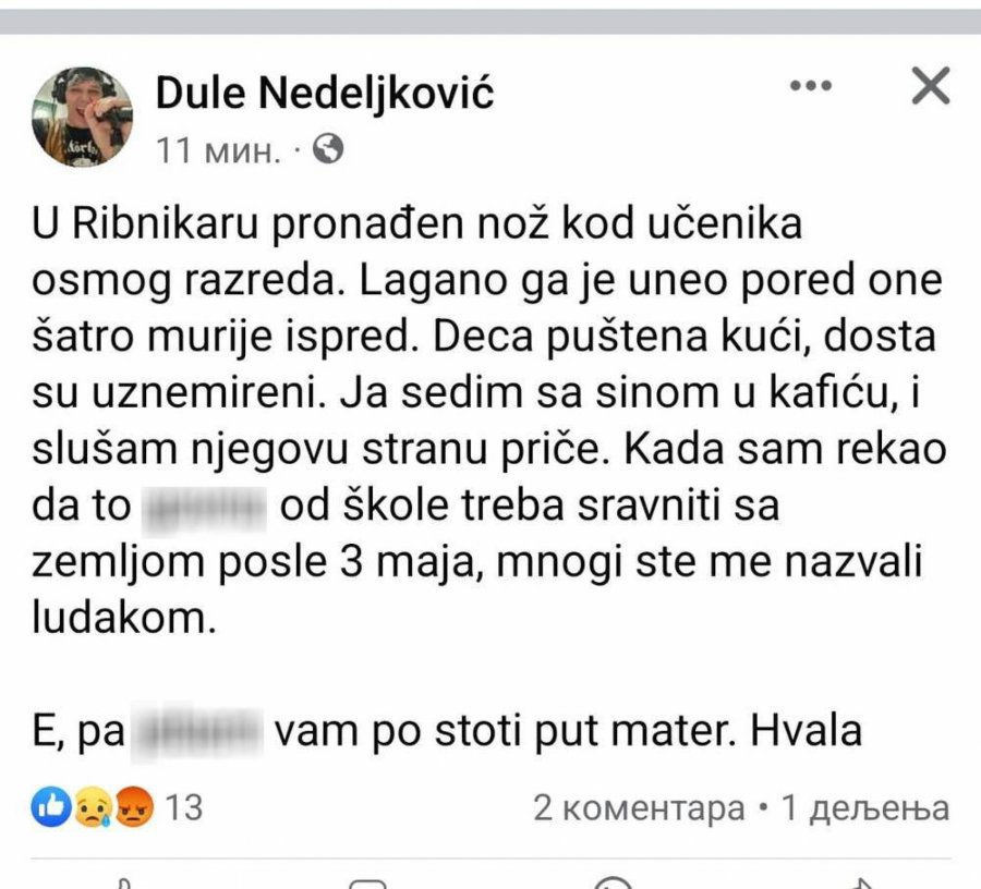 dule nedeljkovic ribnikar