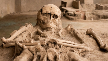 Više detalja očekuje se nakon rezultata forenzičke analize