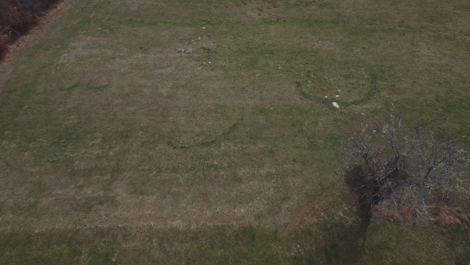 Čudo prirode kod Kosjerića