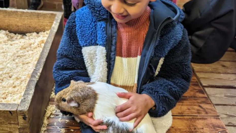 dečak i morsko prase