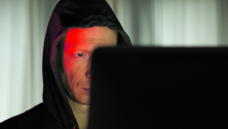 Predatori na internetu