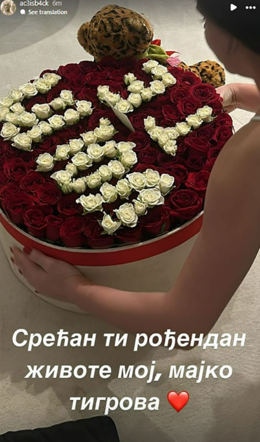 Bogdana ražnatović