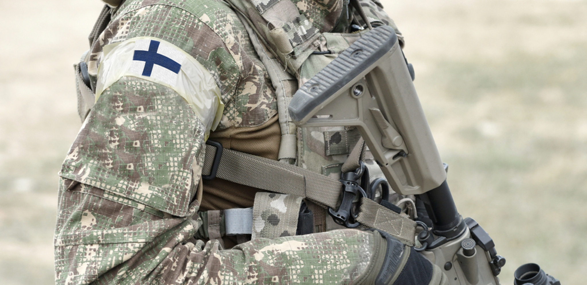 finska vojska