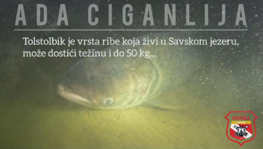 Ada Ciganlija