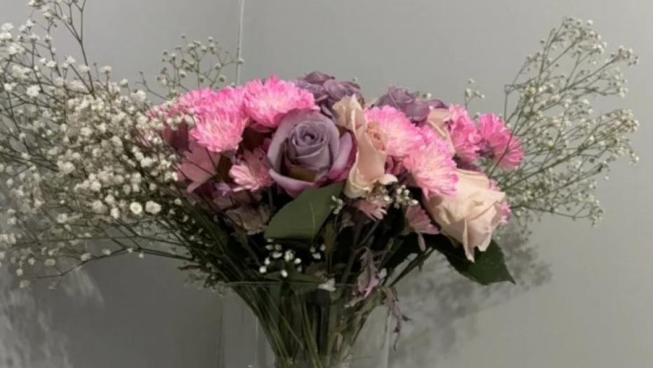 tiktok.com/sofia.moscato