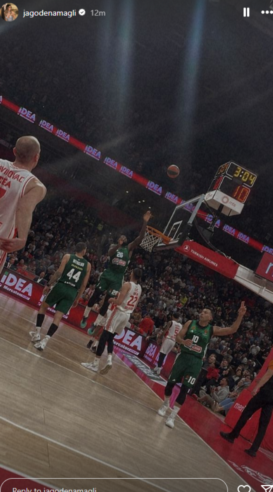 Jelisaveta Orašanin