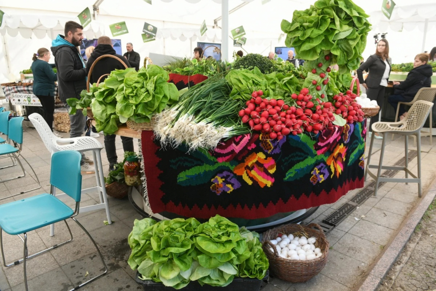 Izbor za najdomaćina