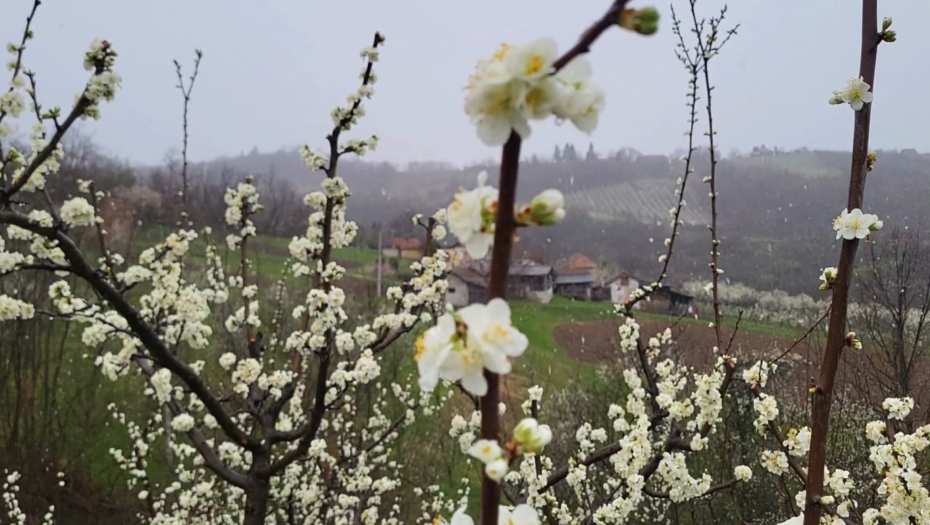 FOTO TANJUG/ BRANKO LUKIĆ