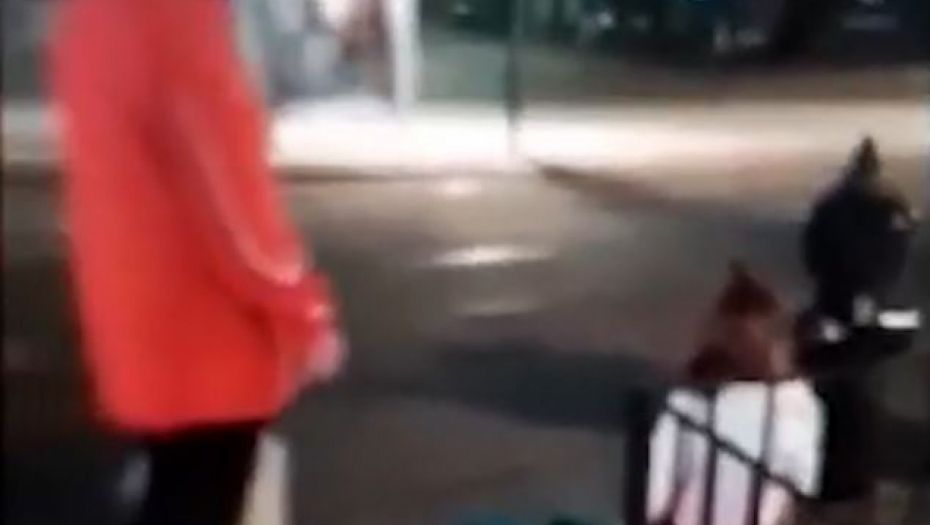 Devojčica koja liči na Danku Ilić snimljena u Beču