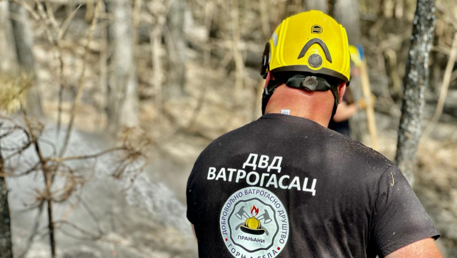 Vatrogasac Ružica Vujičić