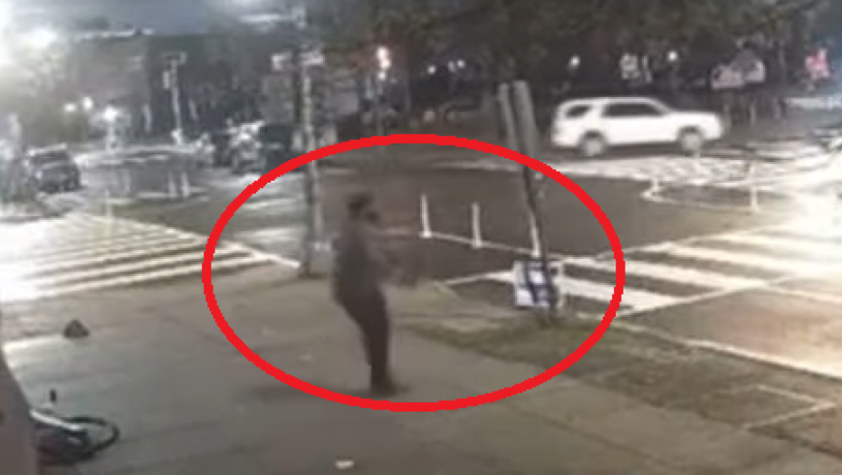 pucnjava u vašingtonu