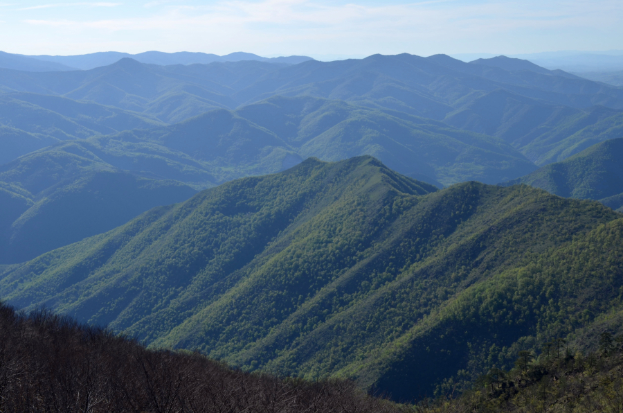 Centralna Srbija, planina Stolovi, planinski vrh Tepek,