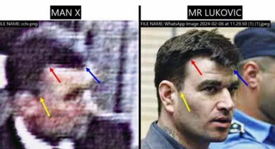 milorad ulemek legija