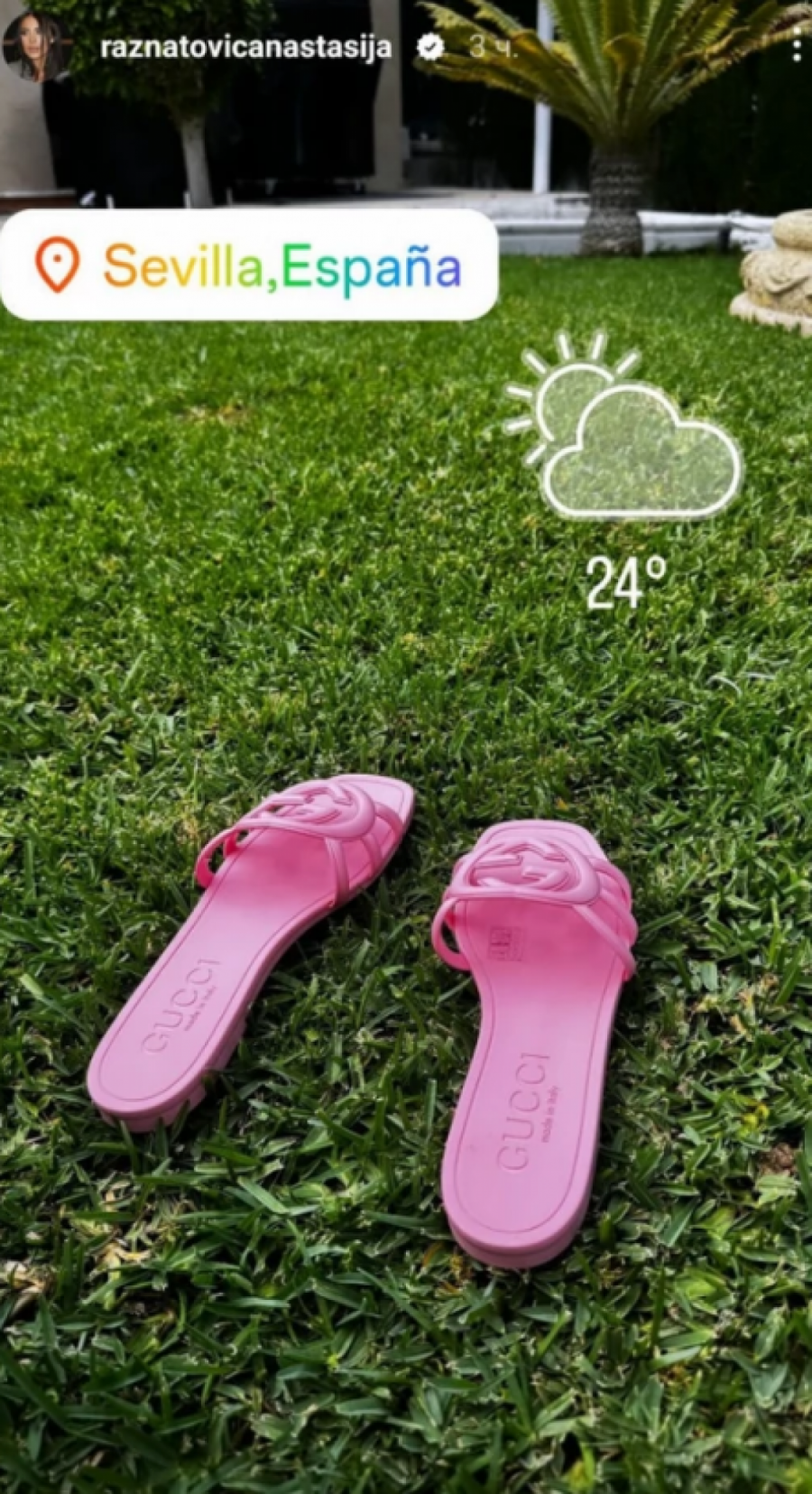 Anastasija i Nemanja