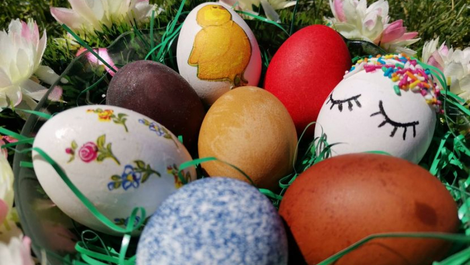 jaja i nutricionista