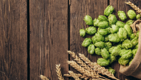 Prodaje se ko alva – ova biljka košta više od 1.000 evra po kilogramu