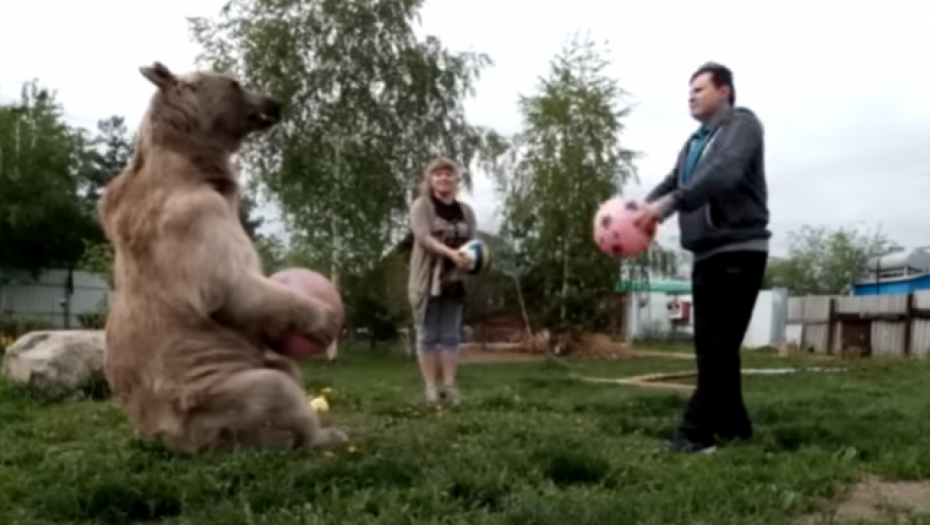 medved živi sa porodicom