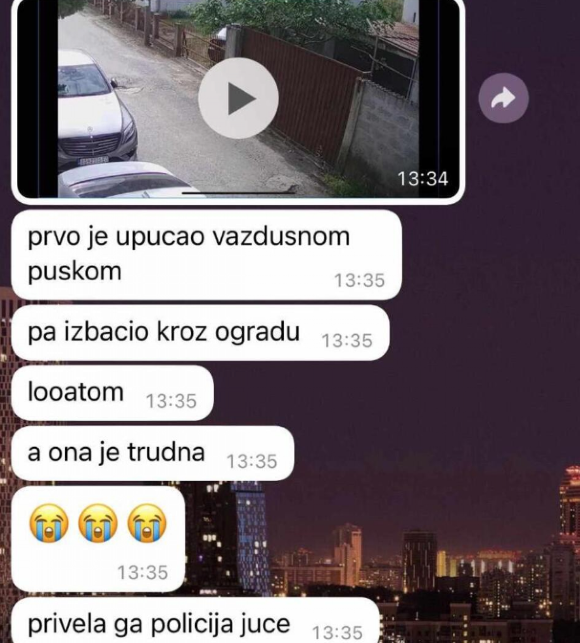 muškarac upucao puškom skotnu mačku u Borči