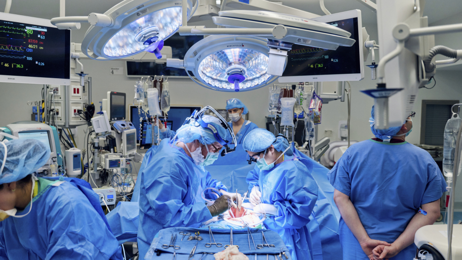 Transplantacija bubrega