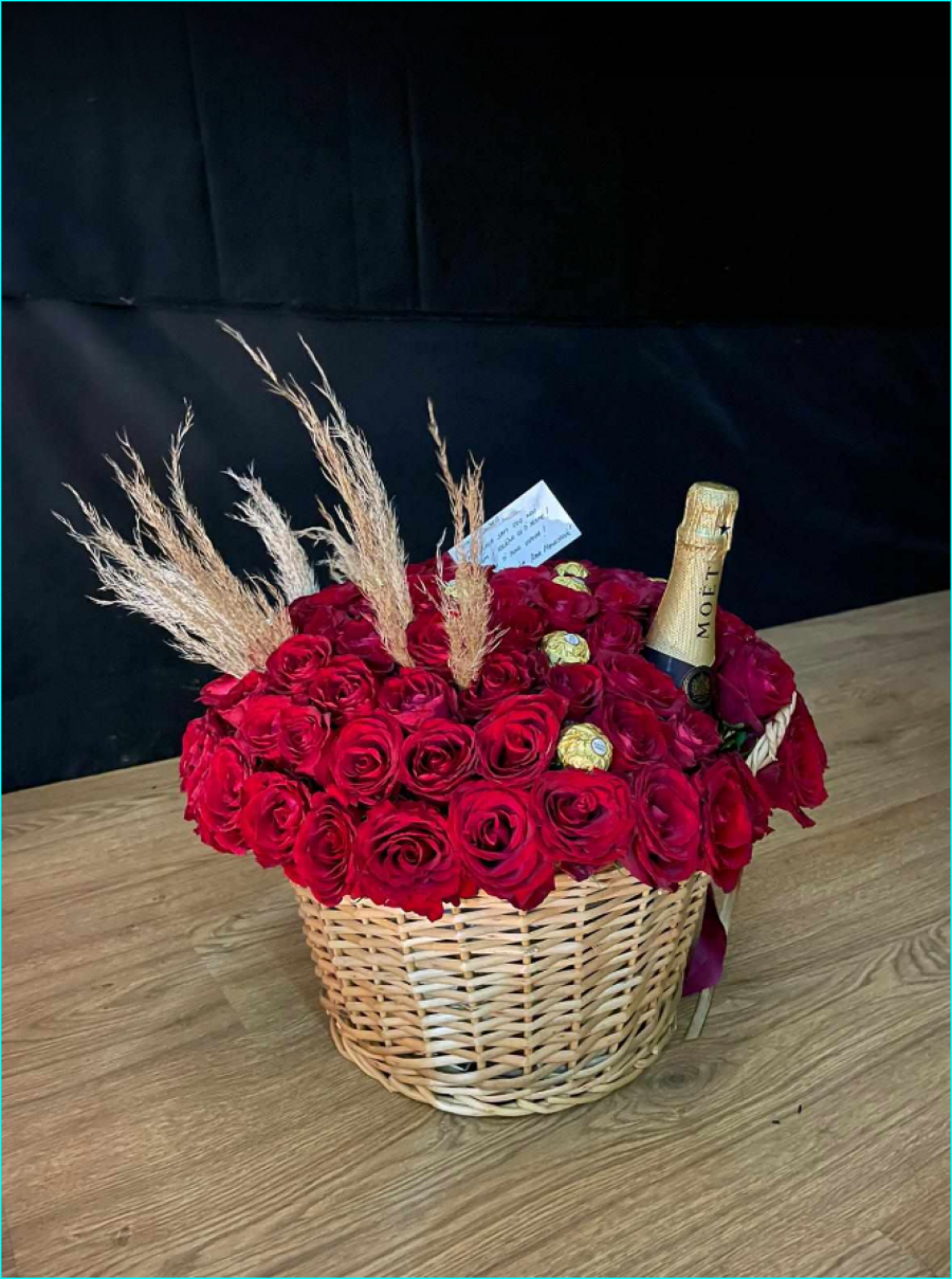 Sandra Afrika promocija